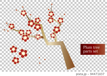 Japanese plants Plum blossoms blooming plum - Stock