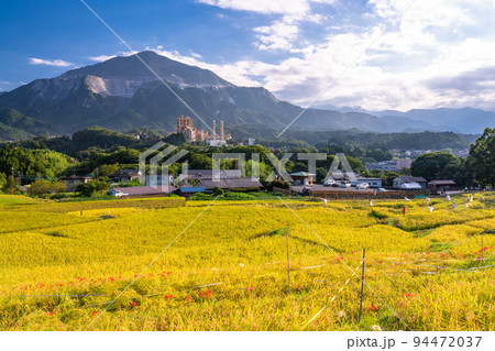 《埼玉県》寺坂棚田と武甲山・秋の秩父 94472037