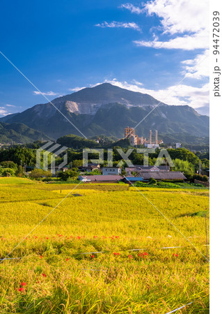 《埼玉県》寺坂棚田と武甲山・秋の秩父 《埼玉県》寺坂棚田と武甲山・秋の秩父 94472039