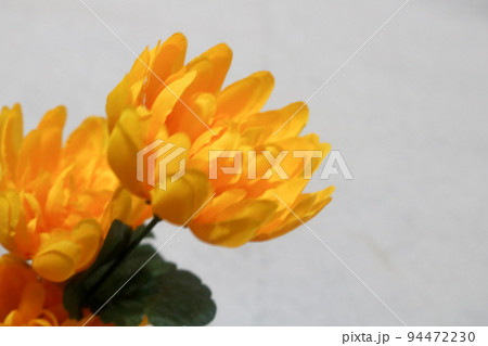 法事用の黄色い菊の花 法事用の黄色い菊の花 94472230