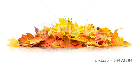pile of autumn leaves isolated on white background pile of autumn leaves isolated on white background 94472594
