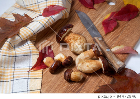 Several Imleria Badia or Boletus badius mushrooms commonly known as the bay bolete with vintage knife on wooden cutting board.. Several Imleria Badia or Boletus badius mushrooms commonly known as the bay bolete with vintage knife on wooden cutting board.. 94472946