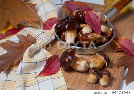 Several Imleria Badia or Boletus badius mushrooms commonly known as the bay bolete and vintage pan with mushrooms on wooden cutting board.. Several Imleria Badia or Boletus badius mushrooms commonly known as the bay bolete and vintage pan with mushrooms on wooden cutting board.. 94472948