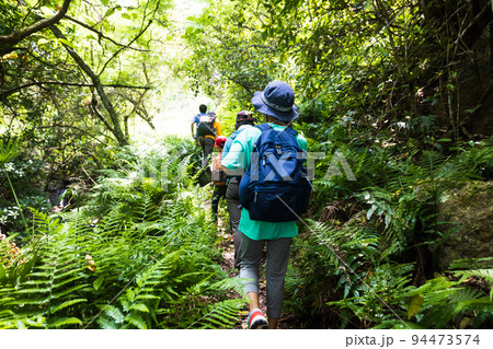 小笠原父島をハイキングする子ども 94473574