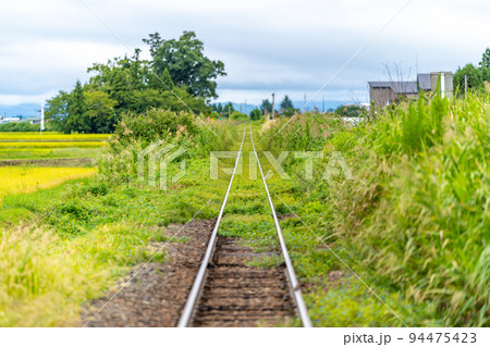 根岸駅　只見線　ツユクサ 94475423