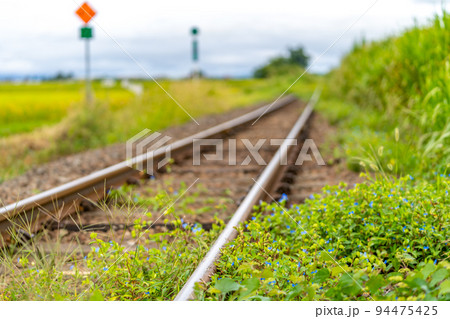 根岸駅　只見線　ツユクサ 94475425