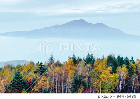 秋　紅葉の日和田高原　飛騨高山 94476439