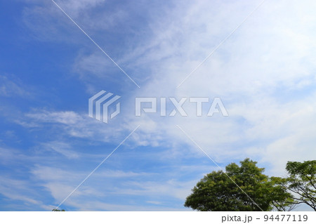 青空　白い雲　木 94477119