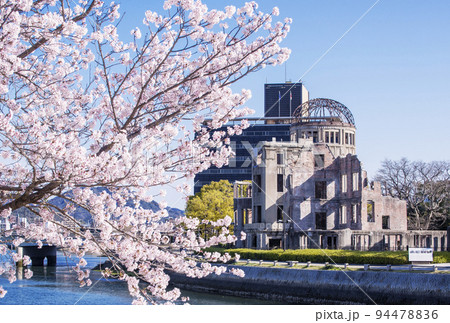 満開の桜と原爆ドーム　平和記念公園の春の風景　広島観光名所　2023年G7サミット　 94478836
