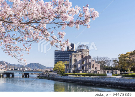 満開の桜と原爆ドーム　平和記念公園の春の風景　広島観光名所　2023年G7サミット　 94478839