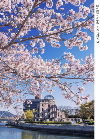 満開の桜と原爆ドーム　平和記念公園の春の風景　広島観光名所　2023年G7サミット　 94478840