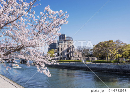 満開の桜と原爆ドーム　平和記念公園の春の風景　桜咲く元安川と原爆ドーム　広島観光名所　 94478843