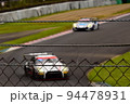 レース観戦するトンボ【宮城県柴田郡村田町　スポーツランドSUGO】 94478931