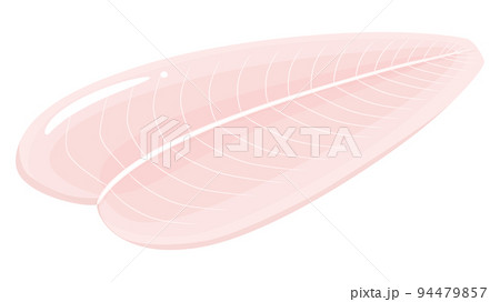 パンガシウス_白身魚のイラスト 94479857