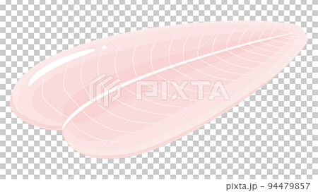 パンガシウス_白身魚のイラスト 94479857
