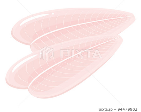 パンガシウス_白身魚のイラスト_2切れ 94479902