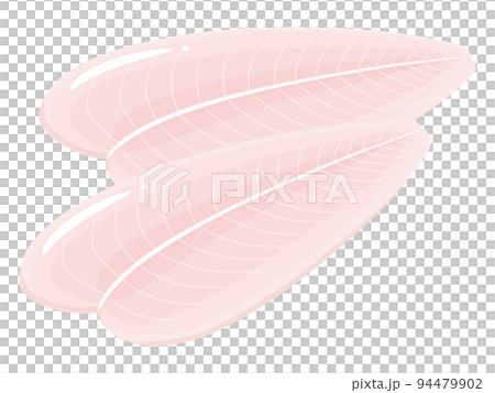 パンガシウス_白身魚のイラスト_2切れ 94479902