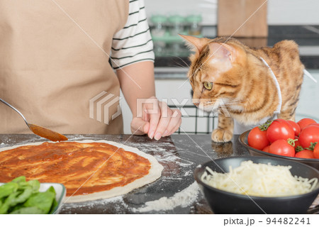 The woman owner and her cat lay out the pizza toppings. 94482241