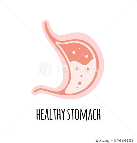 The stomach of a healthy person. Gastroenterology. Vector illustration in a flat style. 94484103
