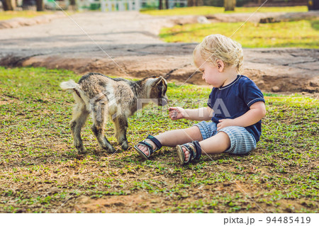 Small cute boy is feeding a small newborn goat 94485419