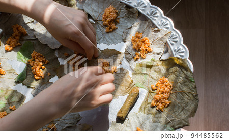 Preparing stuffed vine leaves with rice and meat, or traditional Sarma Preparing stuffed vine leaves with rice and meat, or traditional Sarma 94485562