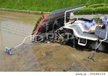 田植え作業中の水田 田植え作業中の水田 94486339
