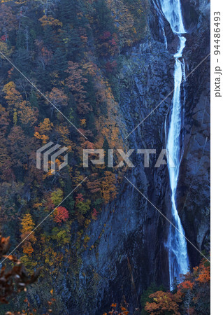 富山県/ 八郎坂から見る「称名滝」の紅葉 94486493
