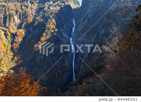 富山県/ 八郎坂から見る「称名滝」の紅葉 富山県/ 八郎坂から見る「称名滝」の紅葉 94486501