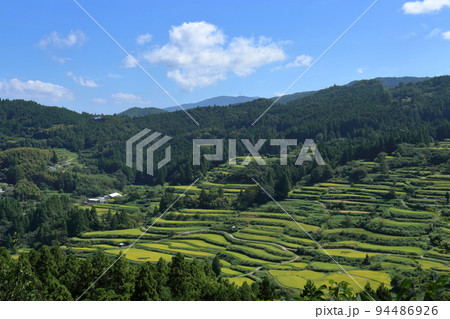 吉延の棚田 実りの秋 (高知県 本山町) 吉延の棚田 実りの秋 (高知県 本山町) 94486926
