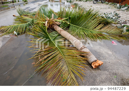 29.09.2022 Consequences of Hurricane Fiona. Dominican Republic. Punta cana. 94487229