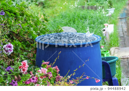 A blue barrel for collecting rainwater. Collecting 94488942