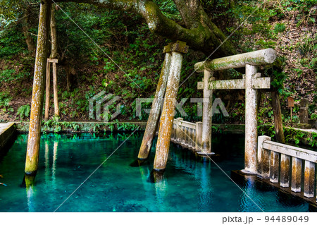 茨城県　鹿島神宮　～御手洗池～ 94489049