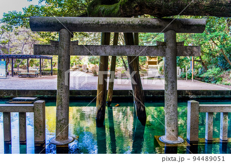 茨城県 鹿島神宮 ~御手洗池~ 茨城県 鹿島神宮 ~御手洗池~ 94489051