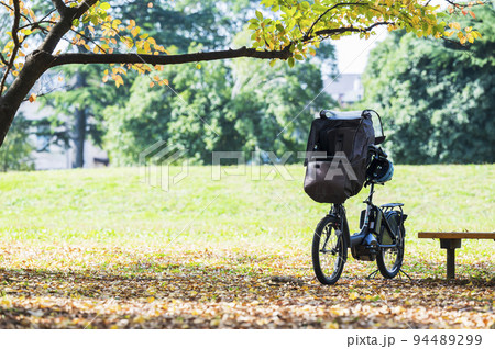 電動アシスト自転車　秋の公園 94489299