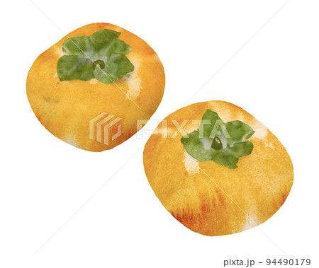 手書きの柿の装飾。水彩イラスト 94490179