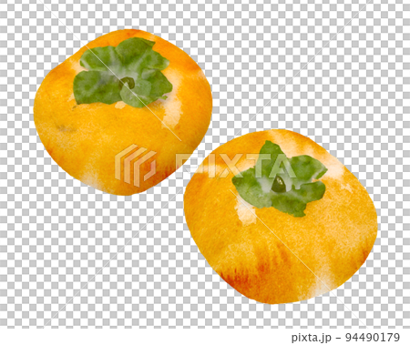 手書きの柿の装飾。水彩イラスト 94490179