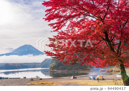 (山梨県)精進湖 真っ赤に紅葉した湖畔のモミジと富士山 (山梨県)精進湖 真っ赤に紅葉した湖畔のモミジと富士山 94490437