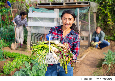 Positive woman harvesting in her garden with other people in background 94490569