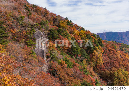 （山梨県）紅葉に染まる精進峠・三方分山 94491470