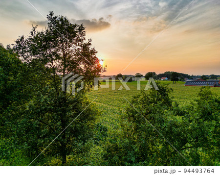 Aerial Drone Shot of a beautiful Green and Yellow Agricultural Plantations Bordering with Wild Aerial Drone Shot of a beautiful Green and Yellow Agricultural Plantations Bordering with Wild 94493764
