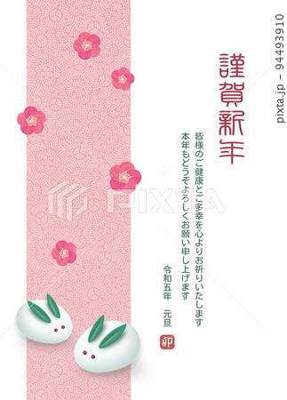 165cm以上WANOHUJI(hiromichi  nakano)  梅の花とうさぎ  小紋