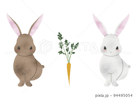 うさぎと人参のセット1(水彩風) 94495054