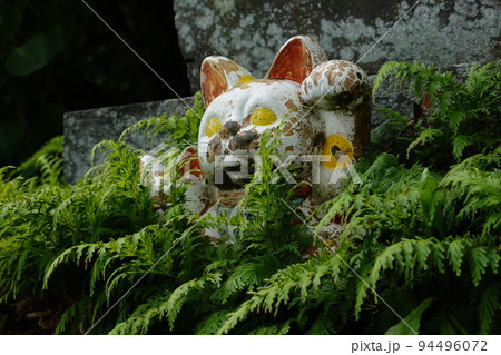大善寺　招き猫 94496072