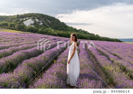 Close up portrait of happy young brunette woman in white dress on blooming fragrant lavender fields with endless rows. Warm sunset light. Bushes of lavender purple aromatic flowers on lavender fields. Close up portrait of happy young brunette woman in white dress on blooming fragrant lavender fields with endless rows. Warm sunset light. Bushes of lavender purple aromatic flowers on lavender fields. 94496614