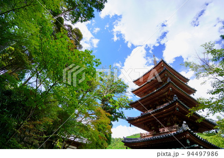 海住山寺・夏の終わり秋雲の爽やかな国宝五重塔 海住山寺・夏の終わり秋雲の爽やかな国宝五重塔 94497986