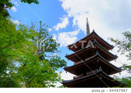 海住山寺・夏の終わり秋雲の爽やかな国宝五重塔 94497987