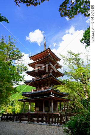海住山寺・夏の終わり秋雲の爽やかな国宝五重塔 海住山寺・夏の終わり秋雲の爽やかな国宝五重塔 94497989