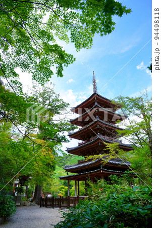 海住山寺・夏の終わり秋雲の爽やかな国宝五重塔 海住山寺・夏の終わり秋雲の爽やかな国宝五重塔 94498118