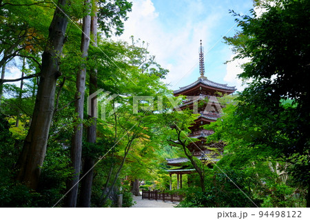 海住山寺・夏の終わり秋雲の爽やかな国宝五重塔 海住山寺・夏の終わり秋雲の爽やかな国宝五重塔 94498122