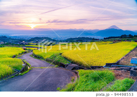 【秋素材】収穫時期を迎えた中野の棚田の日の出【山梨県】 【秋素材】収穫時期を迎えた中野の棚田の日の出【山梨県】 94498553